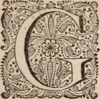 Picture 10 of 293 from Adriani Spigelii Bruxellensis (1645), leaf 36
