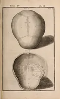 Picture 138 of 293 from Adriani Spigelii Bruxellensis (1645), leaf 362