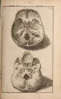 Picture 139 of 293 from Adriani Spigelii Bruxellensis (1645), leaf 364