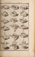 Picture 142 of 293 from Adriani Spigelii Bruxellensis (1645), leaf 370