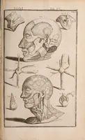 An illustration from Adriani Spigelii Bruxellensis (1645)