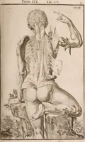 Picture 147 of 293 from Adriani Spigelii Bruxellensis (1645), leaf 380