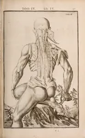 Picture 148 of 293 from Adriani Spigelii Bruxellensis (1645), leaf 382