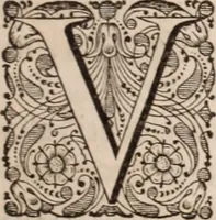Picture 13 of 293 from Adriani Spigelii Bruxellensis (1645), leaf 40