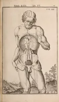 Picture 157 of 293 from Adriani Spigelii Bruxellensis (1645), leaf 400
