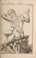 Picture 158 of 293 from Adriani Spigelii Bruxellensis (1645), leaf 402