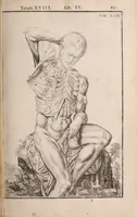 Picture 162 of 293 from Adriani Spigelii Bruxellensis (1645), leaf 410