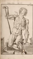 Picture 163 of 293 from Adriani Spigelii Bruxellensis (1645), leaf 412