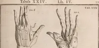 Picture 168 of 293 from Adriani Spigelii Bruxellensis (1645), leaf 422