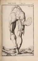 Picture 173 of 293 from Adriani Spigelii Bruxellensis (1645), leaf 432