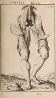 Picture 175 of 293 from Adriani Spigelii Bruxellensis (1645), leaf 436