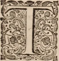 Picture 14 of 293 from Adriani Spigelii Bruxellensis (1645), leaf 44