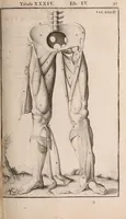 Picture 178 of 293 from Adriani Spigelii Bruxellensis (1645), leaf 442