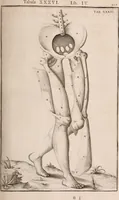 Picture 180 of 293 from Adriani Spigelii Bruxellensis (1645), leaf 446