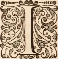Picture 15 of 293 from Adriani Spigelii Bruxellensis (1645), leaf 45