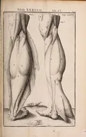Picture 182 of 293 from Adriani Spigelii Bruxellensis (1645), leaf 450