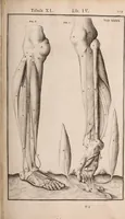 Picture 184 of 293 from Adriani Spigelii Bruxellensis (1645), leaf 454