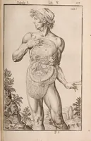 Picture 188 of 293 from Adriani Spigelii Bruxellensis (1645), leaf 462