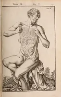 Picture 189 of 293 from Adriani Spigelii Bruxellensis (1645), leaf 464