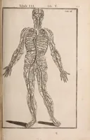 Picture 190 of 293 from Adriani Spigelii Bruxellensis (1645), leaf 466