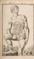 Picture 191 of 293 from Adriani Spigelii Bruxellensis (1645), leaf 468