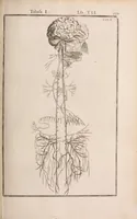 Picture 193 of 293 from Adriani Spigelii Bruxellensis (1645), leaf 472