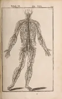 Picture 194 of 293 from Adriani Spigelii Bruxellensis (1645), leaf 474