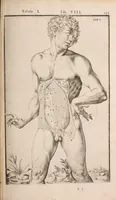 Picture 196 of 293 from Adriani Spigelii Bruxellensis (1645), leaf 478