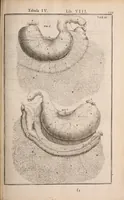 Picture 199 of 293 from Adriani Spigelii Bruxellensis (1645), leaf 484