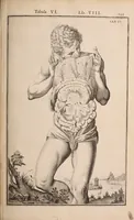 Picture 201 of 293 from Adriani Spigelii Bruxellensis (1645), leaf 488