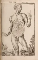 Picture 202 of 293 from Adriani Spigelii Bruxellensis (1645), leaf 490