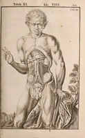 Picture 206 of 293 from Adriani Spigelii Bruxellensis (1645), leaf 498