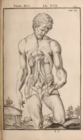 Picture 207 of 293 from Adriani Spigelii Bruxellensis (1645), leaf 500