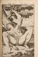 Picture 210 of 293 from Adriani Spigelii Bruxellensis (1645), leaf 506