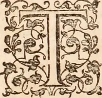 Picture 19 of 293 from Adriani Spigelii Bruxellensis (1645), leaf 51