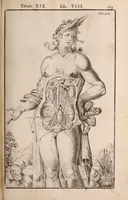Picture 214 of 293 from Adriani Spigelii Bruxellensis (1645), leaf 514