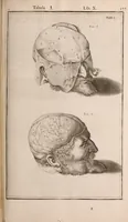 An illustration from Adriani Spigelii Bruxellensis (1645)