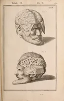 Picture 219 of 293 from Adriani Spigelii Bruxellensis (1645), leaf 524