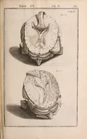 Picture 221 of 293 from Adriani Spigelii Bruxellensis (1645), leaf 528