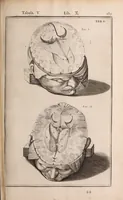 Picture 222 of 293 from Adriani Spigelii Bruxellensis (1645), leaf 530