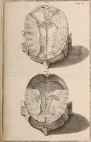 Picture 223 of 293 from Adriani Spigelii Bruxellensis (1645), leaf 532