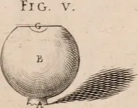 Picture 231 of 293 from Adriani Spigelii Bruxellensis (1645), leaf 544