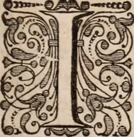 Picture 235 of 293 from Adriani Spigelii Bruxellensis (1645), leaf 550