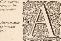 Picture 238 of 293 from Adriani Spigelii Bruxellensis (1645), leaf 553