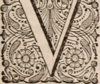 Picture 239 of 293 from Adriani Spigelii Bruxellensis (1645), leaf 554