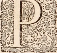 Picture 240 of 293 from Adriani Spigelii Bruxellensis (1645), leaf 555