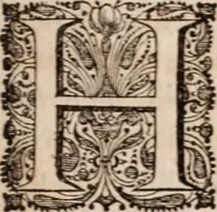 Picture 242 of 293 from Adriani Spigelii Bruxellensis (1645), leaf 560