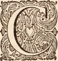 Picture 246 of 293 from Adriani Spigelii Bruxellensis (1645), leaf 567