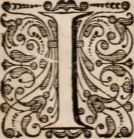 Picture 247 of 293 from Adriani Spigelii Bruxellensis (1645), leaf 568