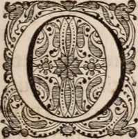 Picture 248 of 293 from Adriani Spigelii Bruxellensis (1645), leaf 570
